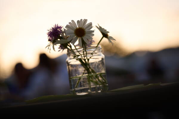 Zoom: _6__0682_srgb_2500px.jpg
